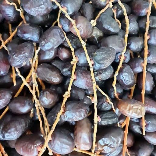 تصویر 3 از خرما مضافتی خوشه ای محصولی خاص برای عرضه متفاوت